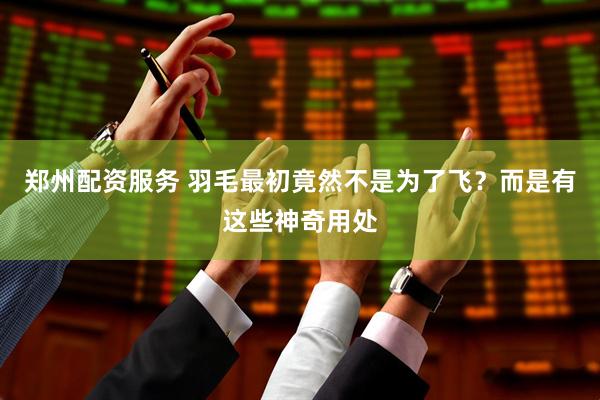 郑州配资服务 羽毛最初竟然不是为了飞？而是有这些神奇用处